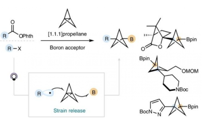 利用雙環(huán)[1.1.1]戊基自由基的sp2性質實現(xiàn)了[1.1.1]螺槳烷的雙官能團化反應